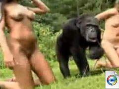 Sex with Monkey - extreme zoo porn